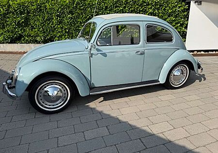 VW Käfer Volkswagen Ovali 1956