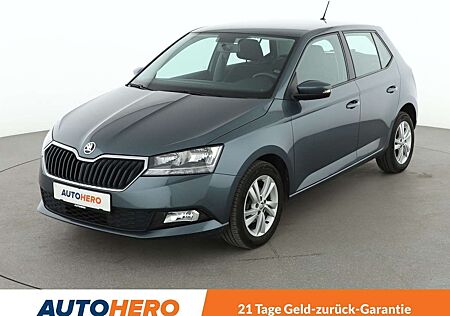 Skoda Fabia 1.0 TSI Ambition*LIM*CAM*PDC*SHZ*
