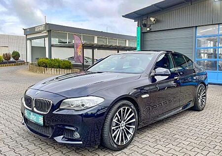 BMW 530 d M Paket NAVI PDC AHK HuD HiFi BI Xenon