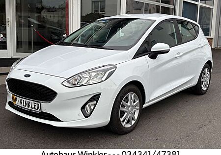 Ford Fiesta Cool & Connect Winterpaket DAB+ Parksyst