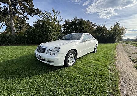 Mercedes-Benz E 270 gebraucht kaufen Mercedes-Benz E 270 CDI Classic