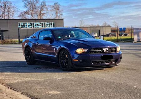Ford Mustang Premium 8 Fachbereift ink Autoplane