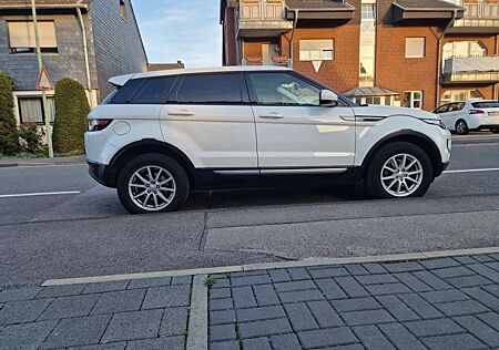 Land Rover Range Rover Evoque TD4 Aut. Dynamic