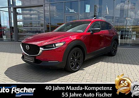 Mazda CX-30 2.0 (186PS) FWD Autom. Homura Sitzheizung