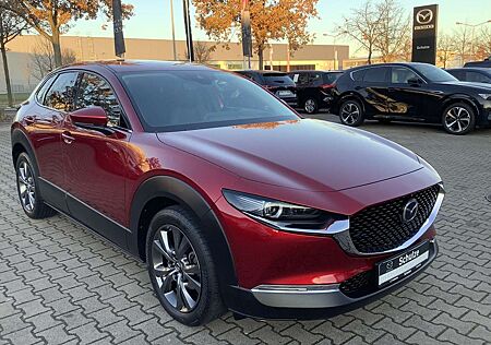 Mazda CX-30 2.0-X AWD Leder Bose Matrix-LED AHK Selection