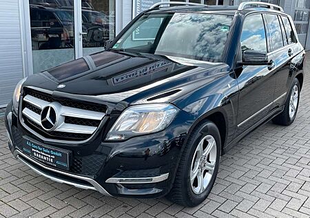 Mercedes-Benz GLK 220 CDI BlueEffi*Webasto*Navi*AHK