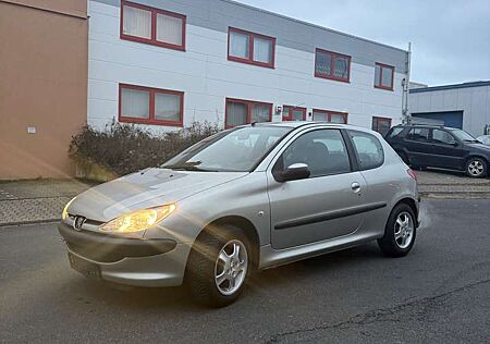 Peugeot 206 Grand Filou Cool