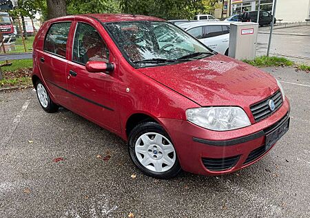 Fiat Punto 5-Türer 1.2 8V TÜV NEU Klima 8fach bereift