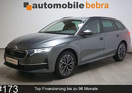 Skoda Octavia 2.0TDI DSG Selection Virtual AHK Pano