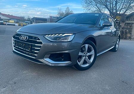 Audi A4 Avant 40 TFSI advanced/Leder/Panorama/LED