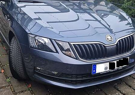 Skoda Octavia Combi 2.0 TDI Soleil Kam/Navi/ACC/SHZ