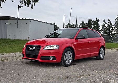 Audi A3 Sportback 1.6 TDI S line black Pano Xenon GRA