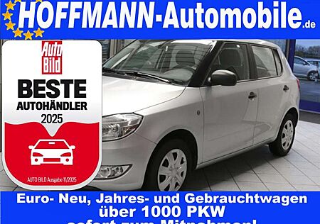 Skoda Fabia ohne Tüv