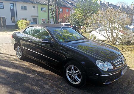 Mercedes-Benz CLK 200 CLK Cabrio 200 Kompressor Automatik Elegance