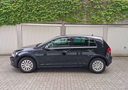 VW Golf Volkswagen 1.2 TSI BlueMotion Tech Trendline Standheizung