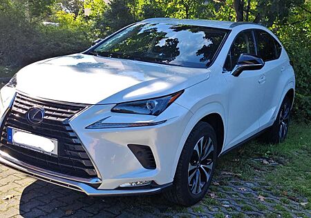 Lexus NX 300 NX 300h NX 300h Style Edition LED, KAM, Leder, Sitze...