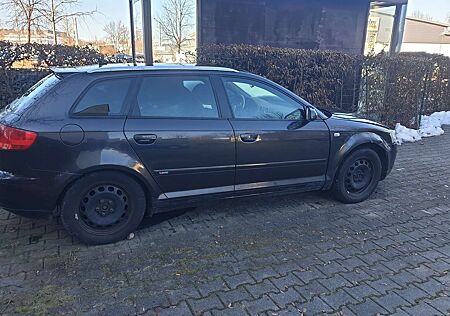 Audi A3 2.0 TDI S line Sportpaket plus quattro (103kW)