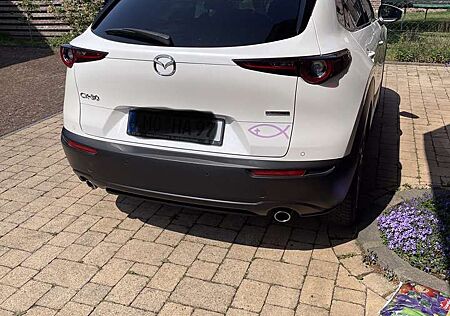 Mazda CX-30 e-SKYACTIVE G 150 HOMURA, NAV, HUD
