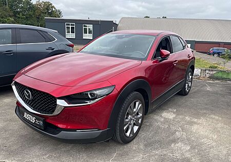 Mazda CX-30 SKYACTIV-G 2.0 150PS M Hybrid Selection, DES-P., P