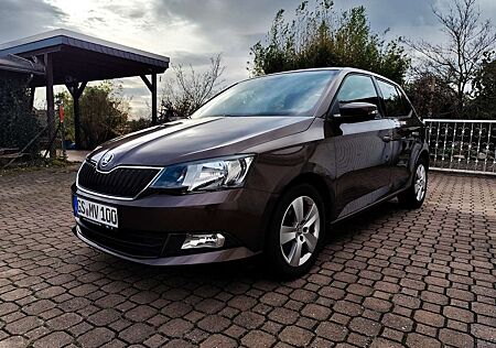 Skoda Fabia 1.2 TSI TÜV Winterreifen SHZ 1. Hand