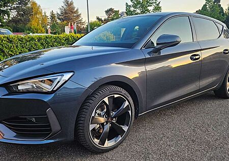 Cupra Leon Basis