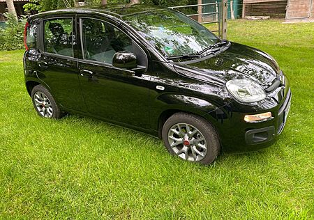 Fiat Panda /Pandina 1.2 Lounge