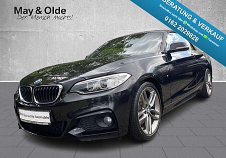 BMW 220 I A M Sport Navi Leder RÜK Hifi Xenon