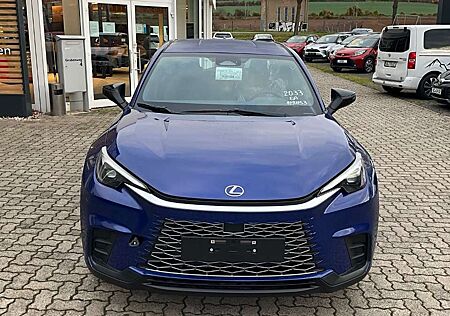 Lexus LBX 1.5l Basis Sitzheizung, PDC, Rückfahrkamera
