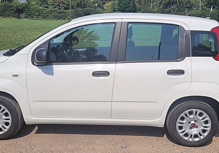 Fiat Panda gebraucht kaufen Fiat Panda /Pandina 1.2 Easy