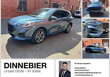 Ford Kuga ST-Line X LED+Navi+Kamera+Winterpaket