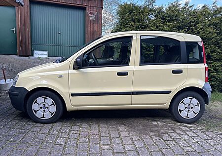 Fiat Panda 4x4 169