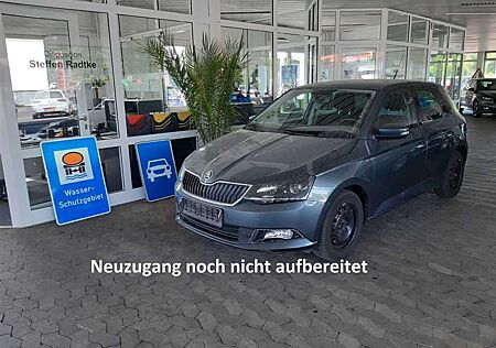 Skoda Fabia 1.0 TSI Ambition SHZ+PDC