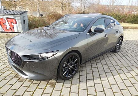 Mazda 3 2.5 e-SKYACTIV G 140PS NAGISA Sitzbezüge Teilleder