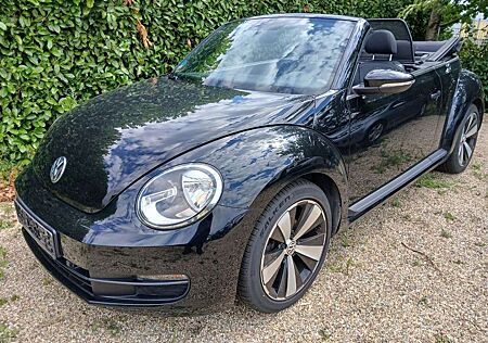 VW Beetle Volkswagen Cabriolet Basis BMT