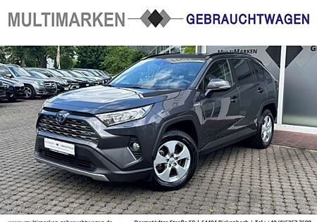 Toyota RAV 4 Hybrid 4x4 Team Deutschland 2.5 VVT-i Navi/LED/ACC