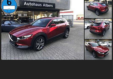 Mazda CX-30 SKYACTIV-X M Hybrid SELECTION, AUTOMATIK, BOSE, 36