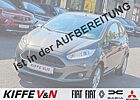 Ford Fiesta Celebration 1.25 SHZ S/S Frontscheib.heizbar