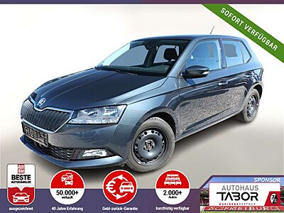 Skoda Fabia 1.0 TSI 110 DSG Ambition Nav PDC SHZ
