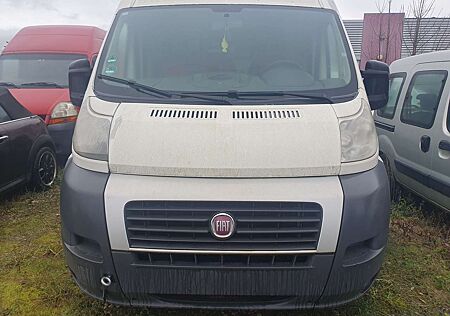 Fiat Ducato !!Motorschaden!! (Rs: 4035 mm) L4 H2