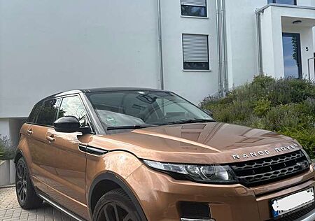 Land Rover Range Rover Evoque TD4 Aut. Prestige Leder, Navi, Klima, Rückfahrkam