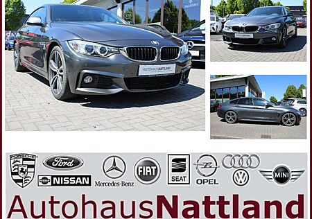 BMW 420 i M Sport RFK Temp. Autom. 19´´