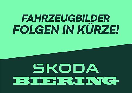 Skoda Kamiq 1.0 TSI Selection KAMERA AHK FACEL. LED