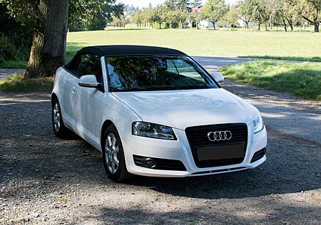 Audi A3 Cabriolet+1.6+Ambition