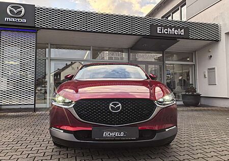 Mazda CX-30 gebraucht kaufen Mazda CX-30 L SKYACTIV-G 2.0 M Hybrid 6AG AL-SELECTION A18 DES