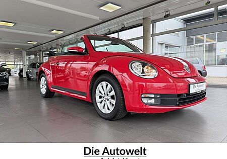 Volkswagen Beetle Cabriolet BMT 1.2 TSI NAVI SHZG KLIMA GRA Navi