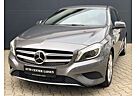 Mercedes-Benz A 200 d BiXenon Navi Leder PDC BT 1-Hand SHZ