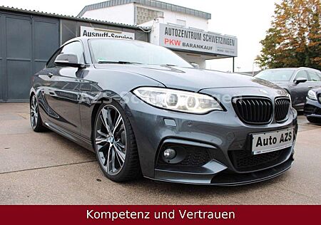 BMW 220 i Coupe M-Paket/HARMAN/KARDON/CAM/NAVI/19"