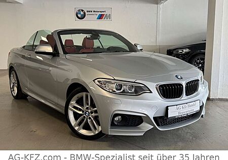 BMW 228 i M Sport Paket Cabrio/DEUTSCH/1.Hand/Leder/