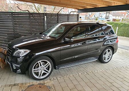 Mercedes-Benz ML 500 Pano / AHK / Tuning / Winter / 2. Hand