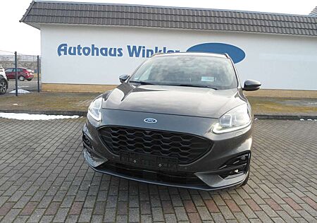 Ford Kuga Diesel 2.0 EcoBlue 4x4 Aut. ST-LINE X